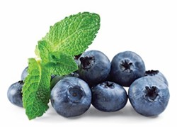 Blueberry Avocado Smoothie | Blueberries Superfood