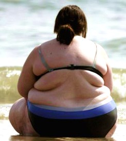 fat girl in bikini - are chemicals making you fat?